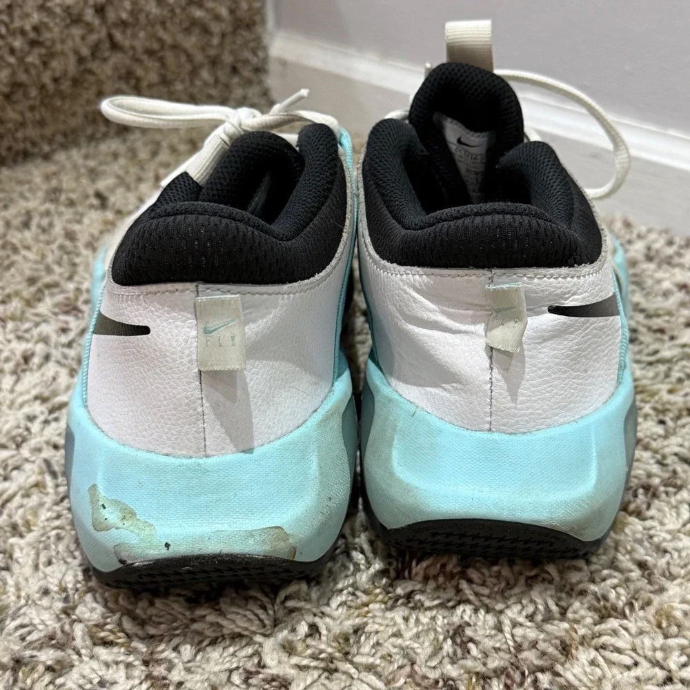 Nike Giannis Immortality White Aqua Blue Basketball Shoes DC5216-101 Kids 6Y